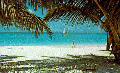 beachcay.JPG (12960 bytes)