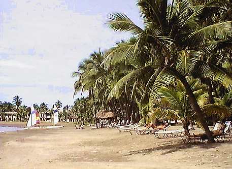 fiji001.jpg (34452 bytes)