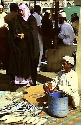 om21.jpg (21278 bytes)