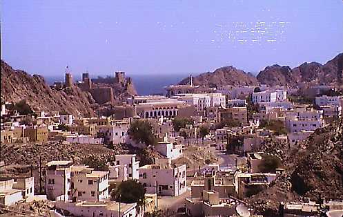 om28.jpg (32590 bytes)