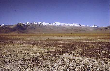 tyb205.jpg (26021 bytes)