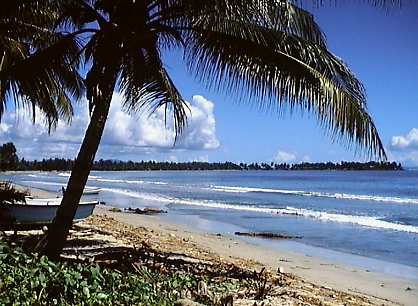 wwd163p.jpg (28956 bytes)