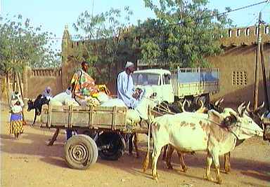 1mali145p.jpg (20866 bytes)