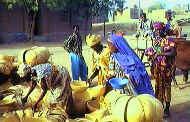 1mali146p.jpg (20484 bytes)