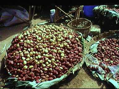1mali149p.jpg (25077 bytes)