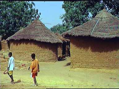 1mali168p.jpg (22172 bytes)