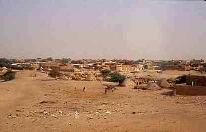 1timb20p.jpg (9664 bytes)