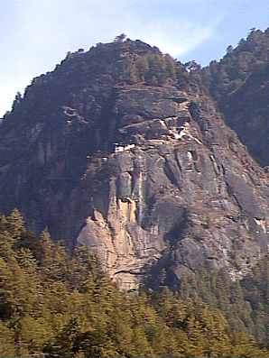 5bhu619.jpg (17592 bytes)