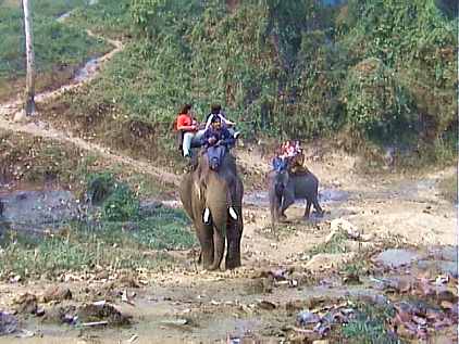 5cnx222.jpg (26988 bytes)
