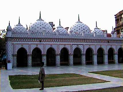 5dha520.jpg (20388 bytes)