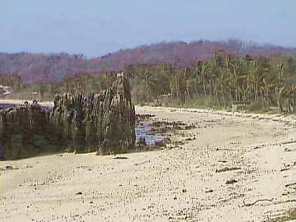 5nau029.jpg (17368 bytes)