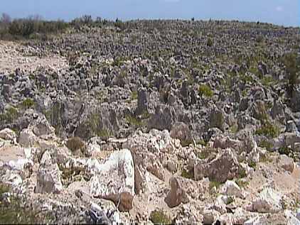 5nau043.jpg (29773 bytes)