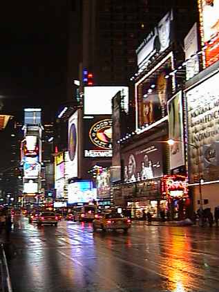 5nyc102.jpg (22799 bytes)