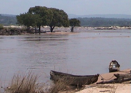 Brazz988.jpg (34724 bytes)