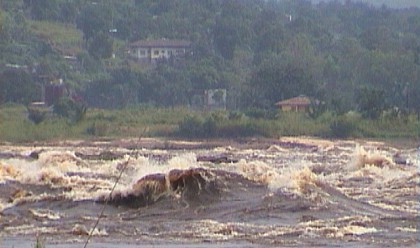 Brazz991.jpg (34353 bytes)