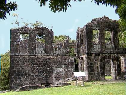 Domi928.JPG (26813 bytes)