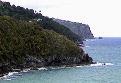 Domi938.JPG (16273 bytes)