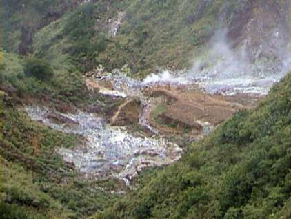 Domi963.JPG (22722 bytes)