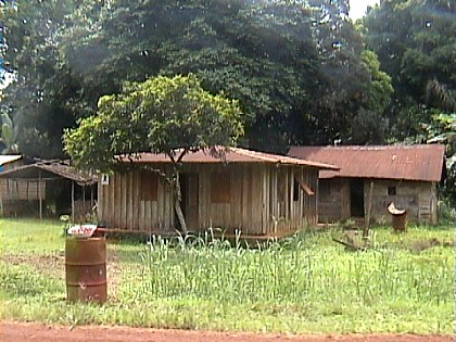 Gab496.jpg (64353 bytes)