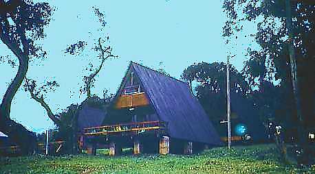 Kil KNP.jpg (23614 bytes)