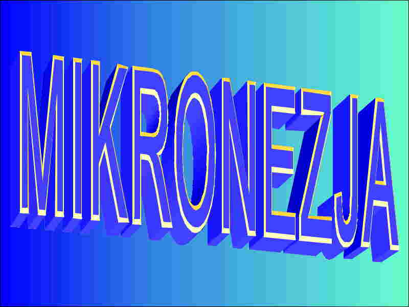 MIkro.JPG (30891 bytes)