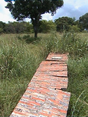 Pointe976.jpg (55422 bytes)