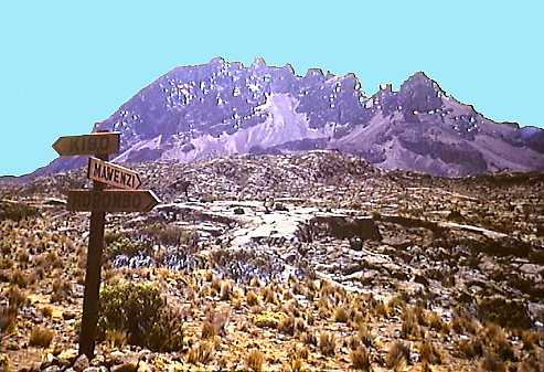 kil Mawenzi.jpg (38418 bytes)