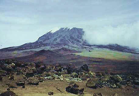 kil kibo.jpg (16693 bytes)