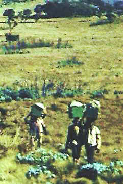 kil porters.jpg (15642 bytes)