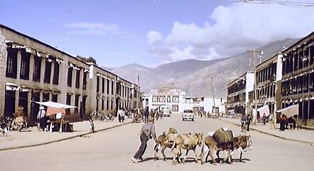 lha130.jpg (25705 bytes)