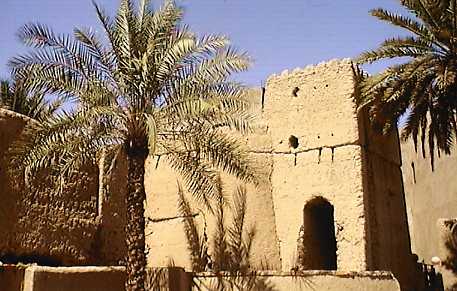 om58.jpg (30989 bytes)