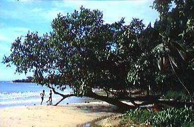 pnm11.jpg (29487 bytes)