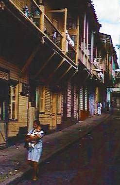 pnm16.jpg (19124 bytes)