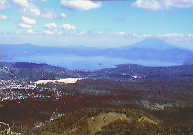 sal89.jpg (16005 bytes)