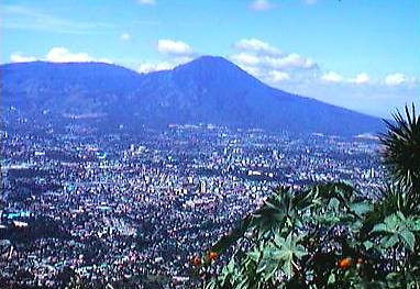sal90.jpg (28778 bytes)