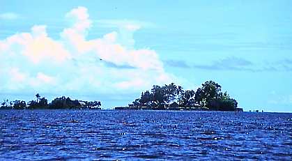 wdb101p.jpg (15688 bytes)