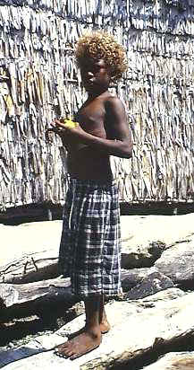 wdb106p.jpg (26212 bytes)
