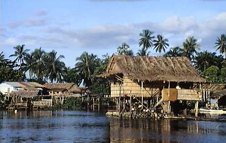 wdb109p.jpg (24410 bytes)
