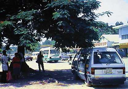 wdb116p.jpg (28778 bytes)