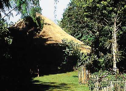 wwd105p.jpg (35381 bytes)