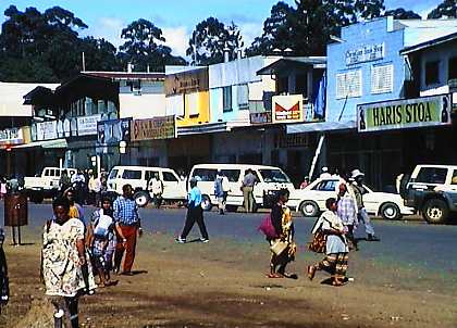 wwd107p.jpg (31142 bytes)