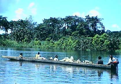 wwd146p.jpg (29634 bytes)