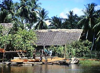 wwd148p.jpg (36317 bytes)