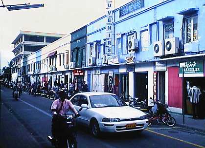 wwd220p.jpg (26888 bytes)