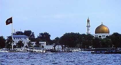 wwd229p.jpg (15451 bytes)