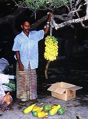 wwd230p.jpg (23373 bytes)