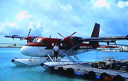 wwd236p.jpg (17508 bytes)