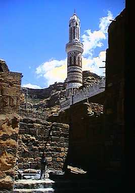 wwd252p.jpg (16626 bytes)