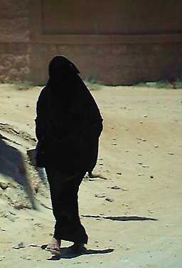 wwd264p.jpg (10060 bytes)