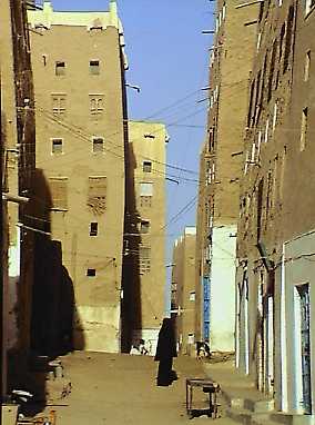 wwd270p.jpg (19513 bytes)